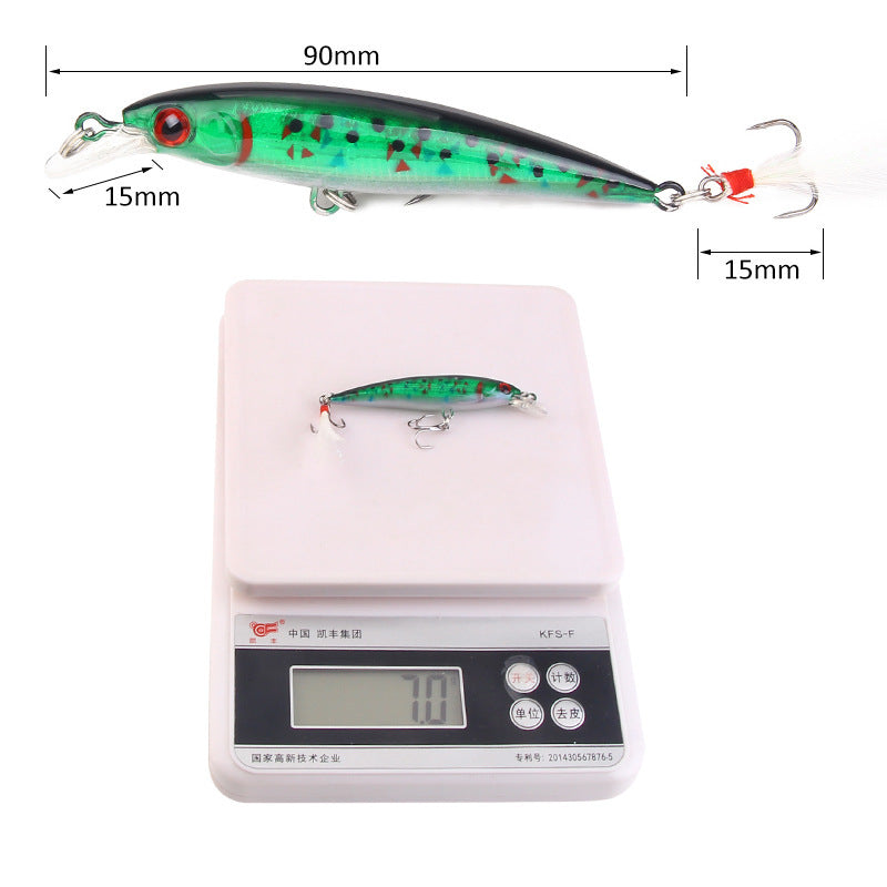 Luya Fish With Feather 9cm 7g Hard Bait